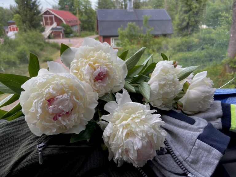 The Beauty of Slow Living: Finding Calm in Everyday Life