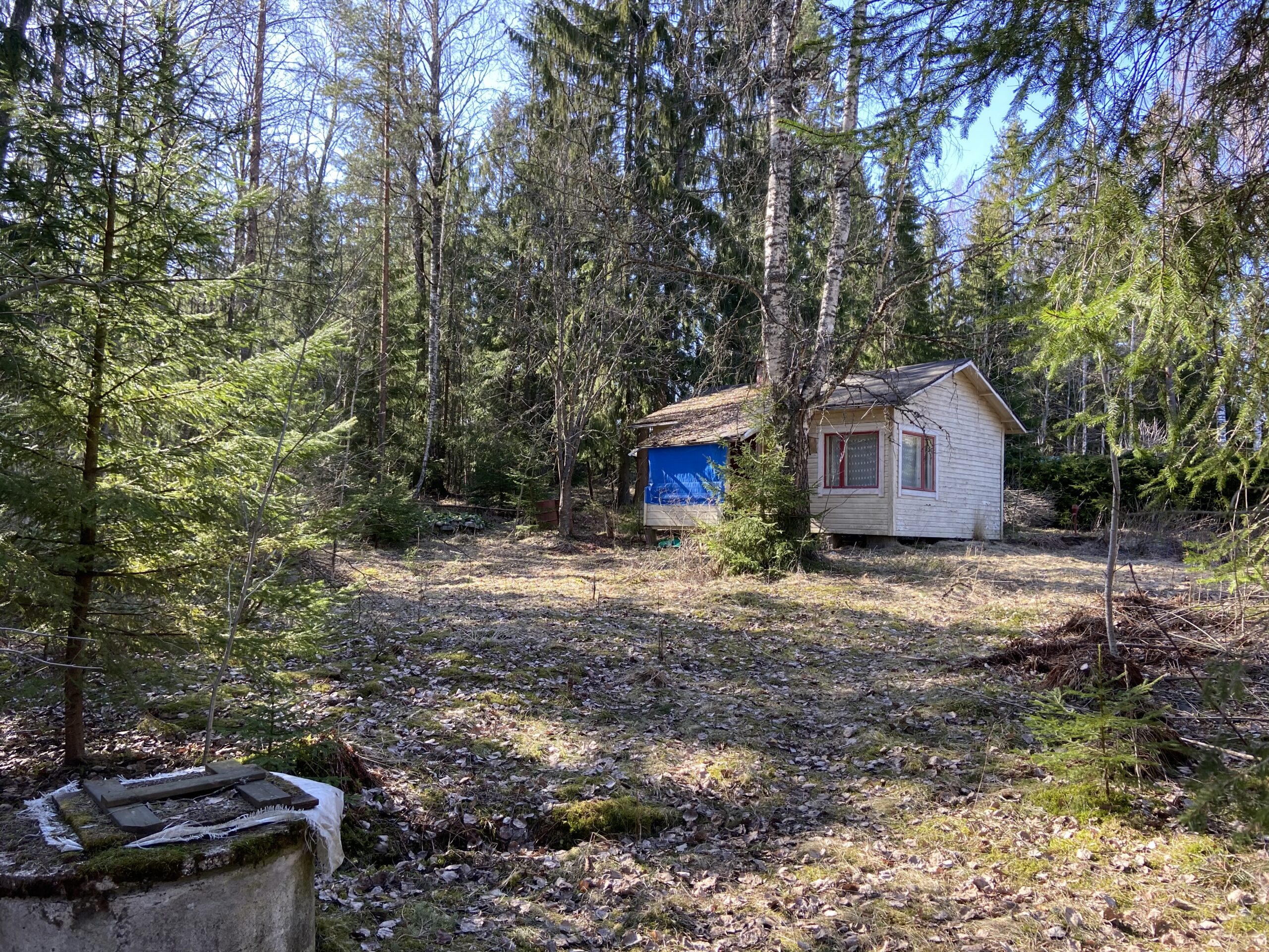 The Finnish cottage when I first bought it